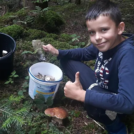イン Eco Nad Karpatamy Hrobyshche