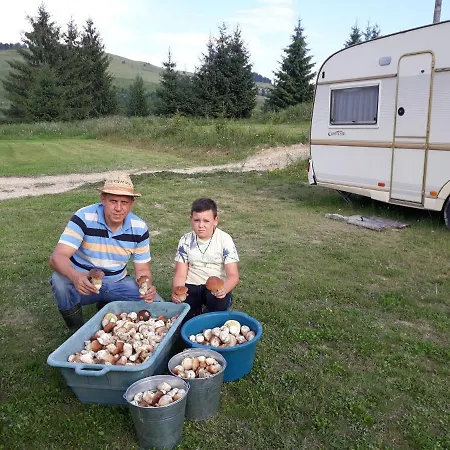 Eco Nad Karpatamy